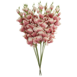 mieczyki na łodydze wys:64cm