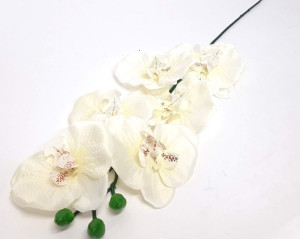 storczyk(6) wys:72,5cm szer:17cm ecru