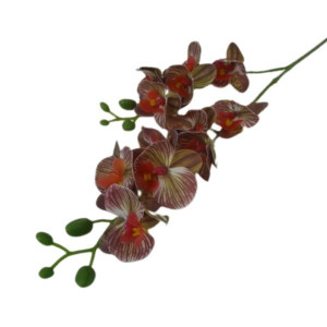 storczyk gumowany mini dwupędowy wys:57cm