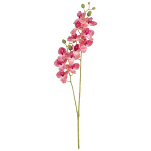 storczyk gumowany mini dwupędowy wys:57cm