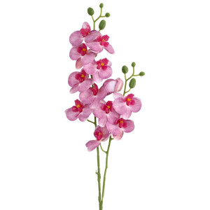 storczyk gumowany mini dwupędowy wys:57cm