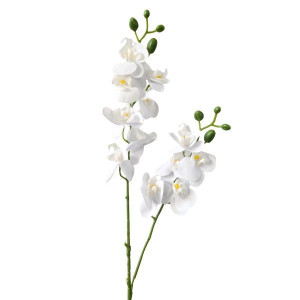 storczyk gumowany mini dwupędowy wys:57cm