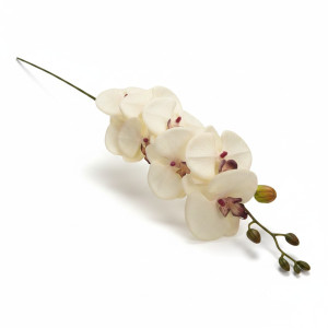 storczyk wys:90cm szer:15cm