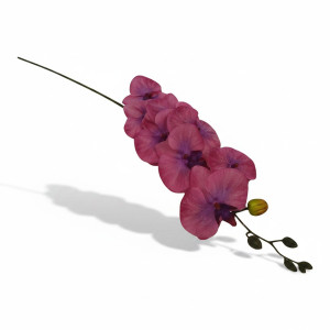 storczyk wys:90cm szer:15cm