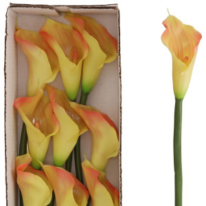 kalie gumowe wys:74cm szer:12cm