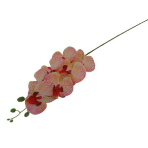 storczyki gumowane na łodydze(7) wys:90cm