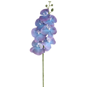 storczyki gumowane na łodydze(7) wys:90cm