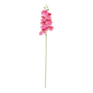 storczyki gumowane na łodydze(7) wys:90cm