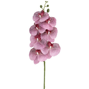 storczyki gumowane na łodydze(7) wys:90cm