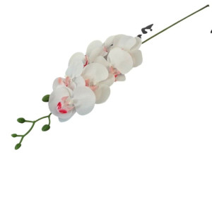 storczyki gumowane na łodydze(7) wys:90cm