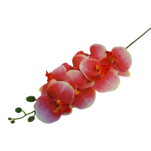 storczyki gumowane na łodydze(7) wys:90cm