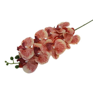 storczyk premium gumowany (9) wys:100cm