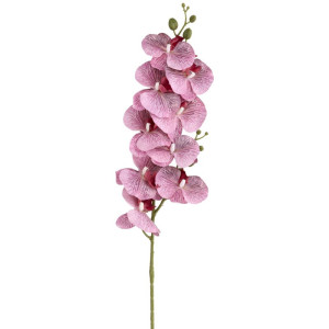 storczyk gumowany(9) wys:100cm szer:16cm