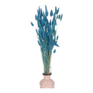 50G dmuszek - lagurus wys:60-70cm