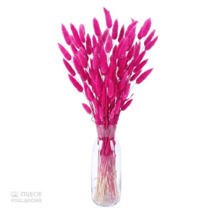 50G dmuszek - lagurus wys:60-70cm