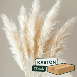 3szt trawa pampasowa farbowana wys:145-150cm