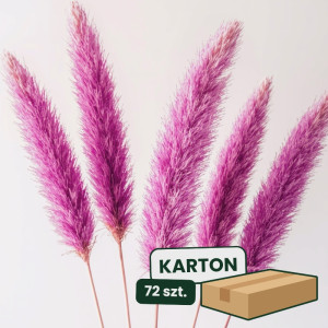 3szt trawa pampasowa farbowana wys:145-150cm