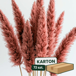 3szt trawa pampasowa farbowana wys:145-150cm