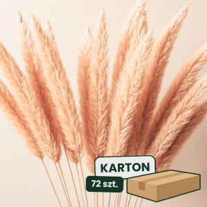 3szt trawa pampasowa farbowana wys:145-150cm