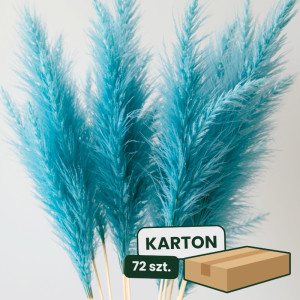 3szt trawa pampasowa farbowana wys:145-150cm