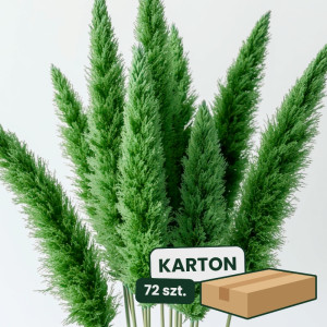 3szt trawa pampasowa farbowana wys:145-150cm