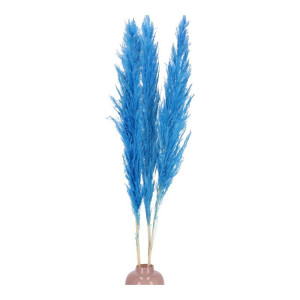3szt trawy pampasowe farbowana wys:115cm