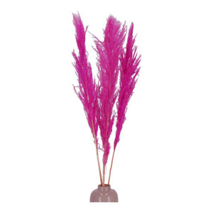 3szt trawy pampasowe farbowana wys:115cm