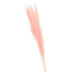 3szt trawy pampasowe farbowana wys:115cm