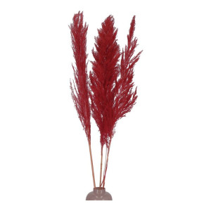 3szt trawy pampasowe farbowana wys:115cm