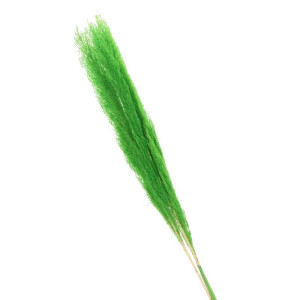 3szt trawy pampasowe farbowana wys:115cm