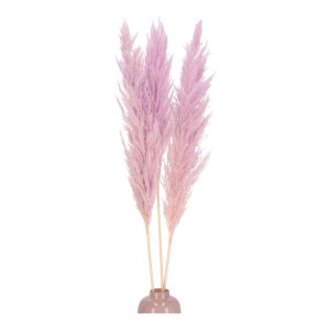 3szt trawy pampasowe farbowana wys:115cm