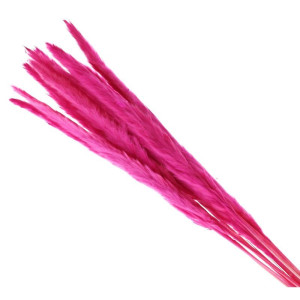 10szt trawy pampasowe Jaxx wys:70-75cm