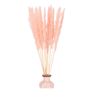 10szt trawy pampasowe Jaxx wys:70-75cm