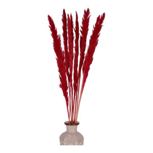 10szt trawy pampasowe Jaxx wys:70-75cm