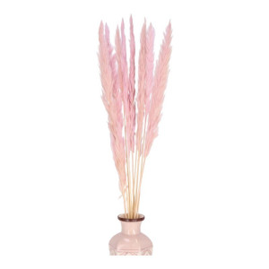 10szt trawy pampasowe Jaxx wys:70-75cm