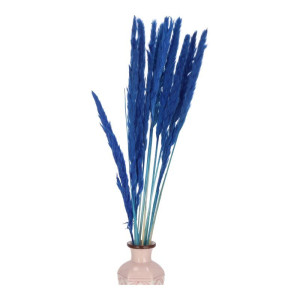 10szt trawy pampasowe Jaxx wys:70-75cm