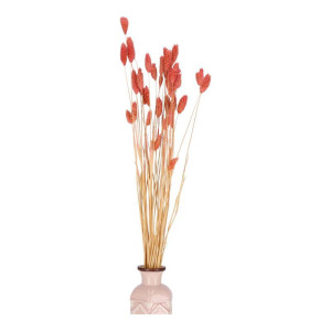 50G phalaris suszony wys:70-75cm