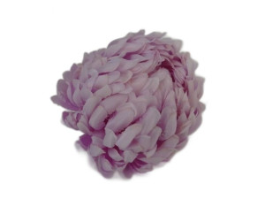 główki chryzantemy premium szer:14cm wys:12cm