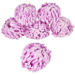 główki chryzantemy premium szer:14cm wys:12cm