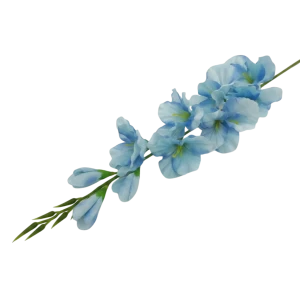 mieczyki na łodydze wys:76cm