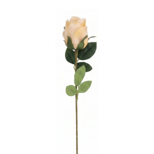 róże na łodydze wys:53cm żółty