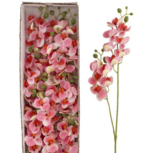 48szt storczyk gumowany mini dwupędowy wys:57cm