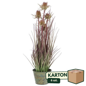 6szt osty ozdobne w doniczce wys:60cm doniczka:10*14cm