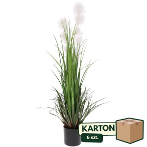 6szt trawa ozdobna w doniczce wys:82cm doniczka:11,5*14
