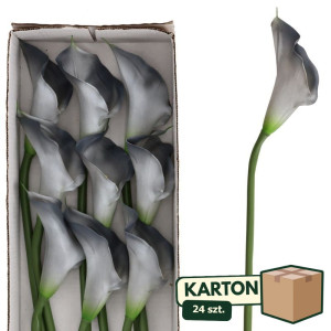24szt kalie gumowe wys:74cm szer:12cm