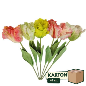 48szt tulipany papuzie maxi gumowe wys:68cm