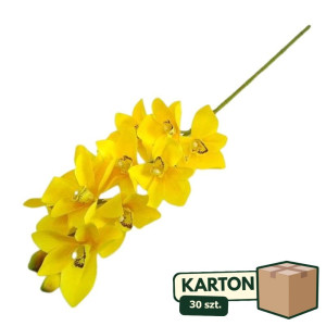 30szt storczyk cymbidium wys:75cm