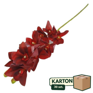 30szt storczyk cymbidium wys:75cm