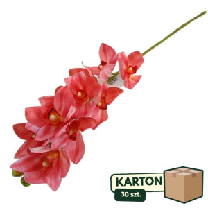 30szt storczyk cymbidium wys:75cm