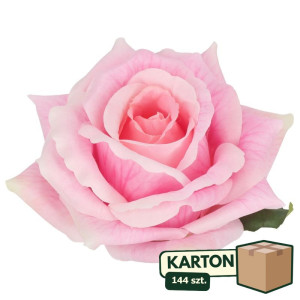 144szt główki róży 3d szer:13cm wys:8cm